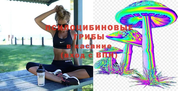индика Майский