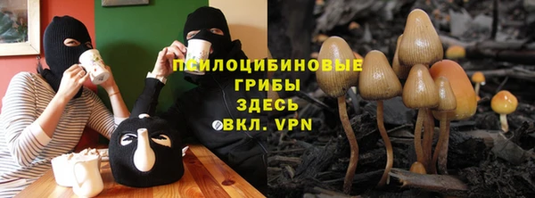 PSILOCYBIN Орск