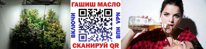сколько стоит  Домодедово  kraken вход  ТГК вейп с тгк 