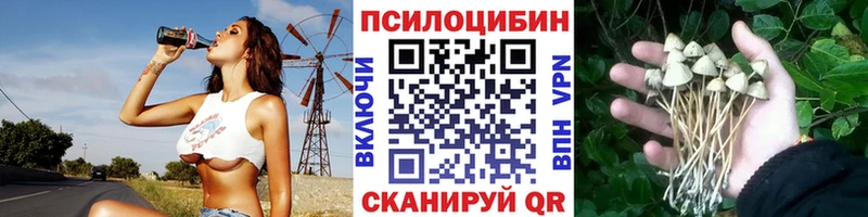 где найти наркотики  Домодедово  Галлюциногенные грибы GOLDEN TEACHER 