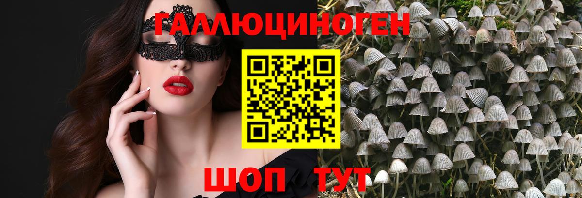 Псилоцибиновые грибы прущие грибы  Домодедово 