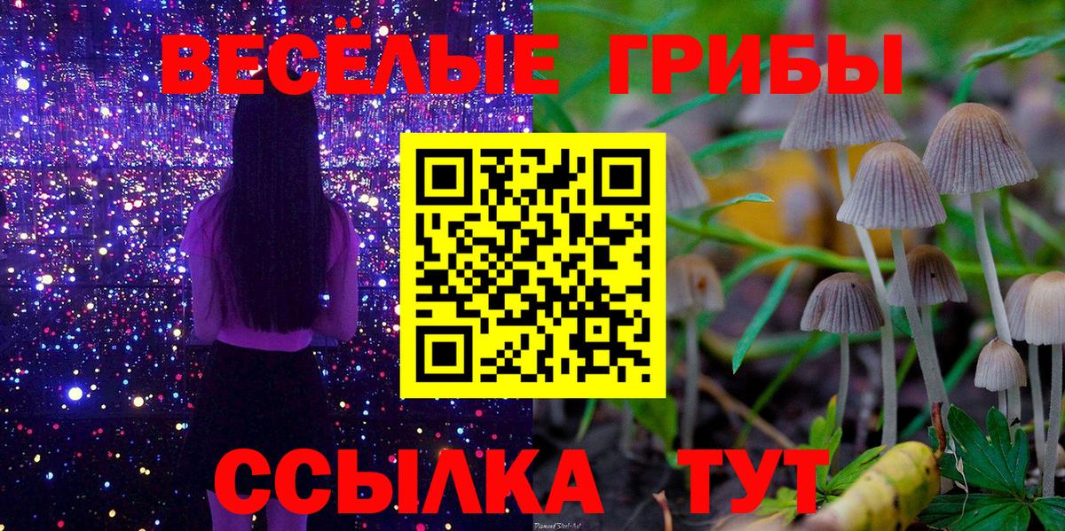 Галлюциногенные грибы Psilocybe Домодедово
