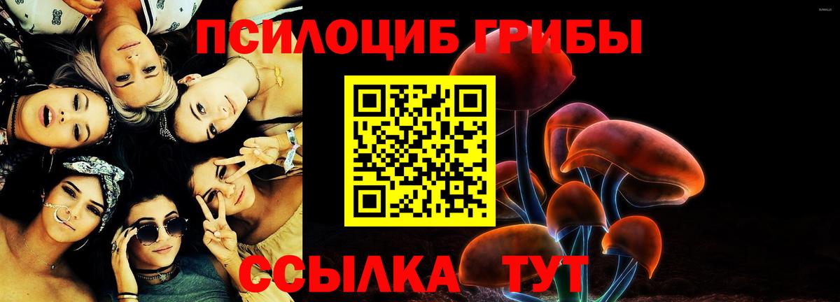 Псилоцибиновые грибы Cubensis  Вход с VPN  Домодедово 